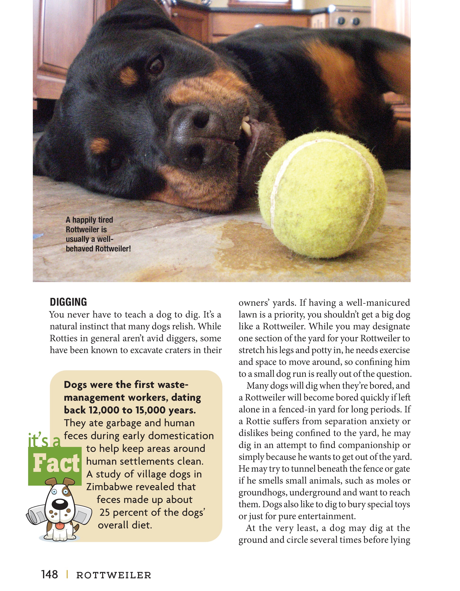 Rottweiler - Fox Chapel Publishing Co.