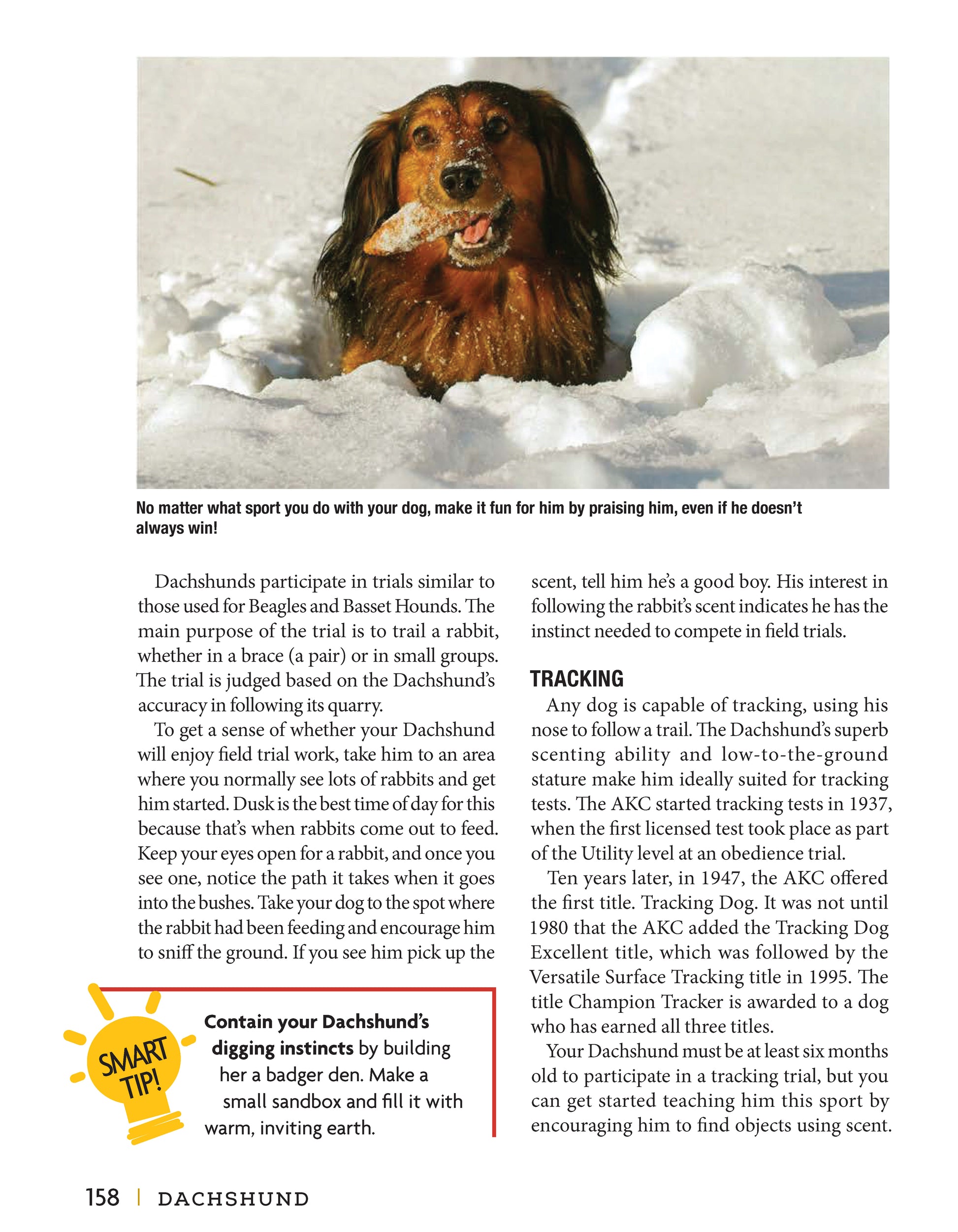 Dachshund - Fox Chapel Publishing Co.