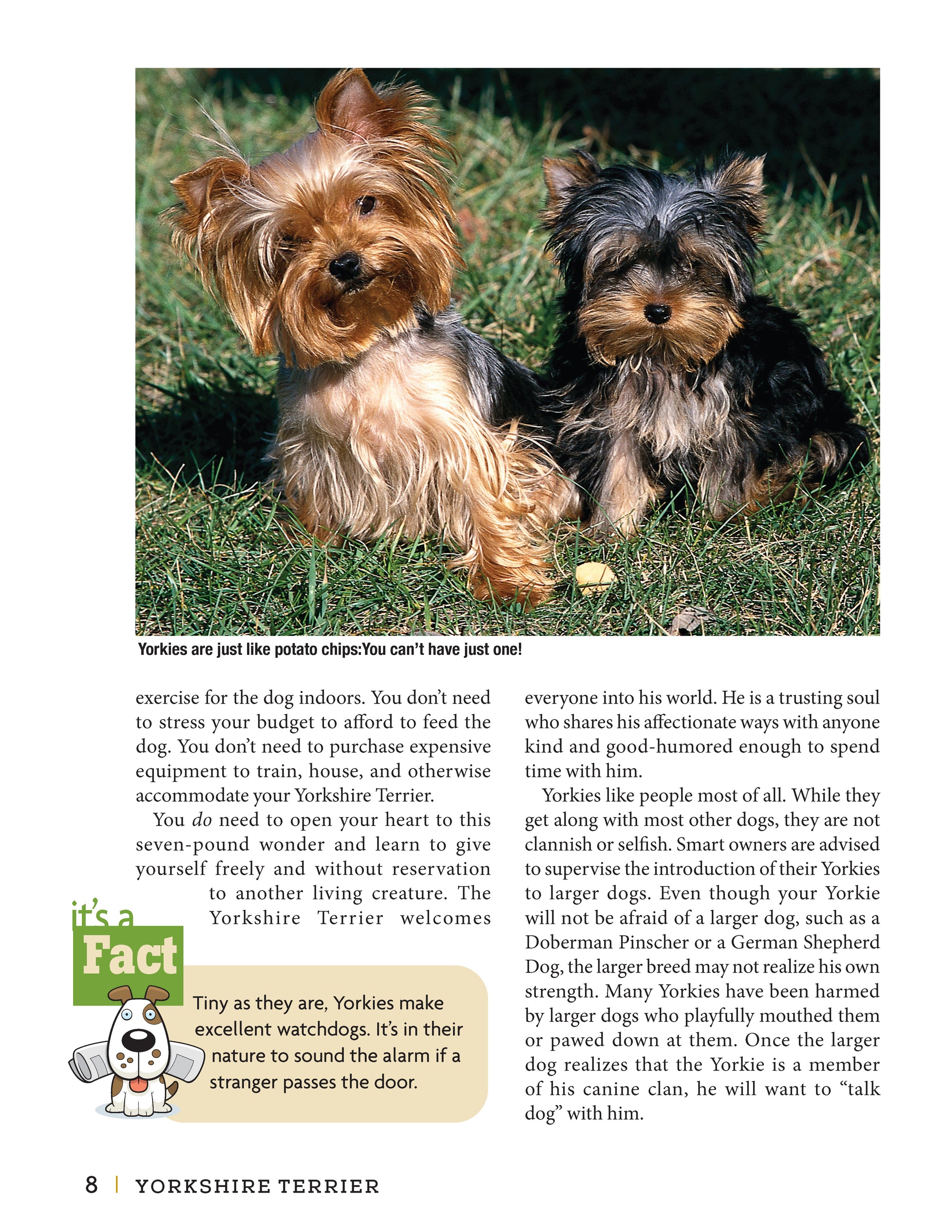 Yorkshire Terrier - Fox Chapel Publishing Co.