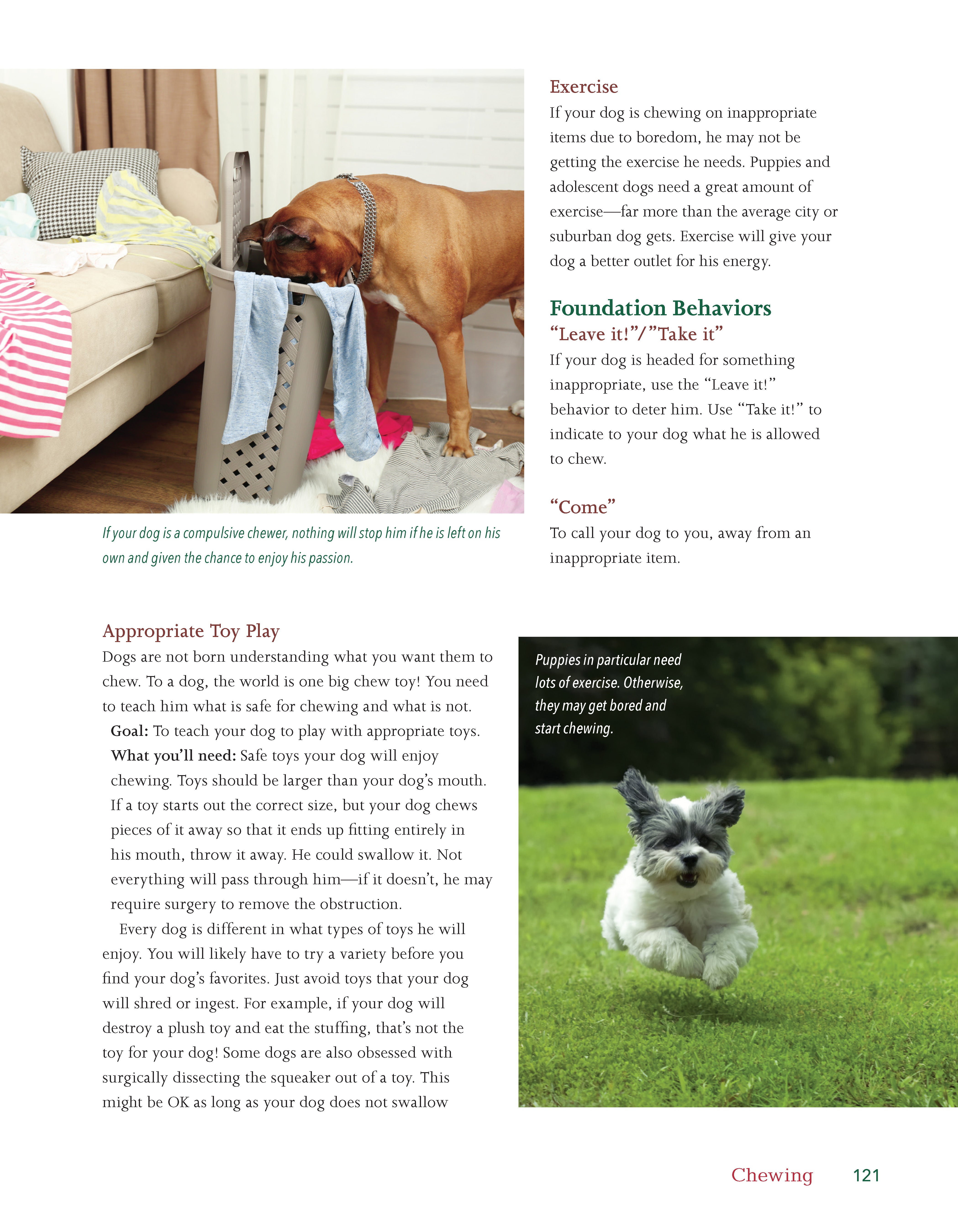 Problem Solver Dog Dog Behavior Problem Solver – Fox Chapel Publishing Co.