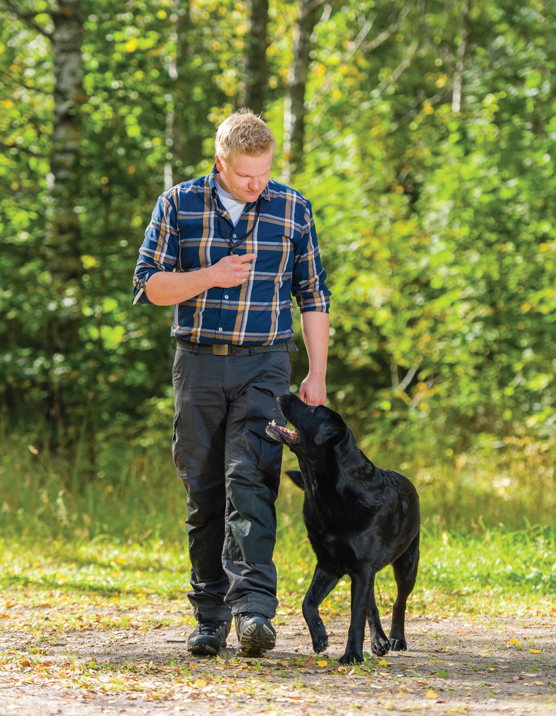 Dog Behavior Problem Solver - Fox Chapel Publishing Co.