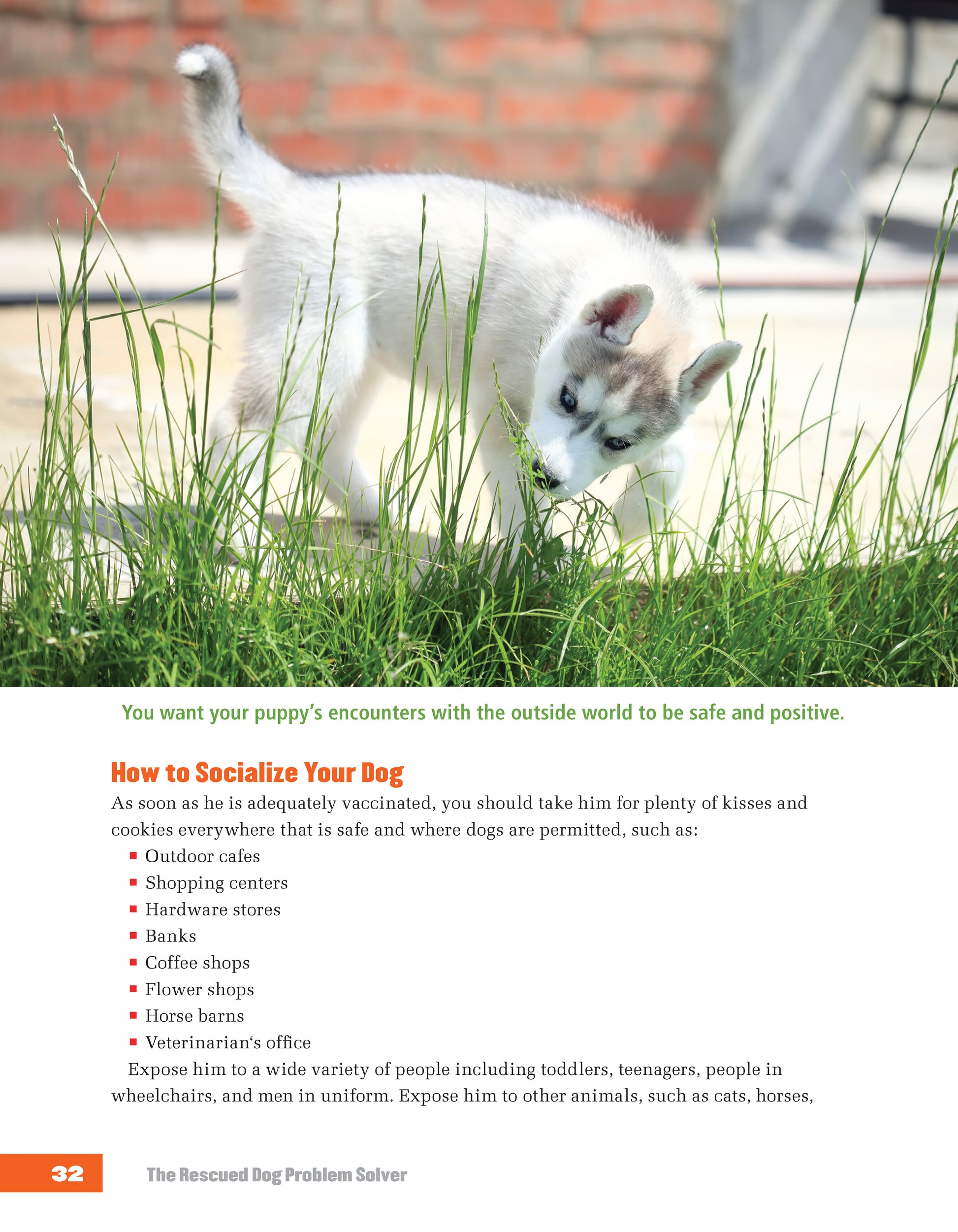 Rescued Dog Problem Solver - Fox Chapel Publishing Co.