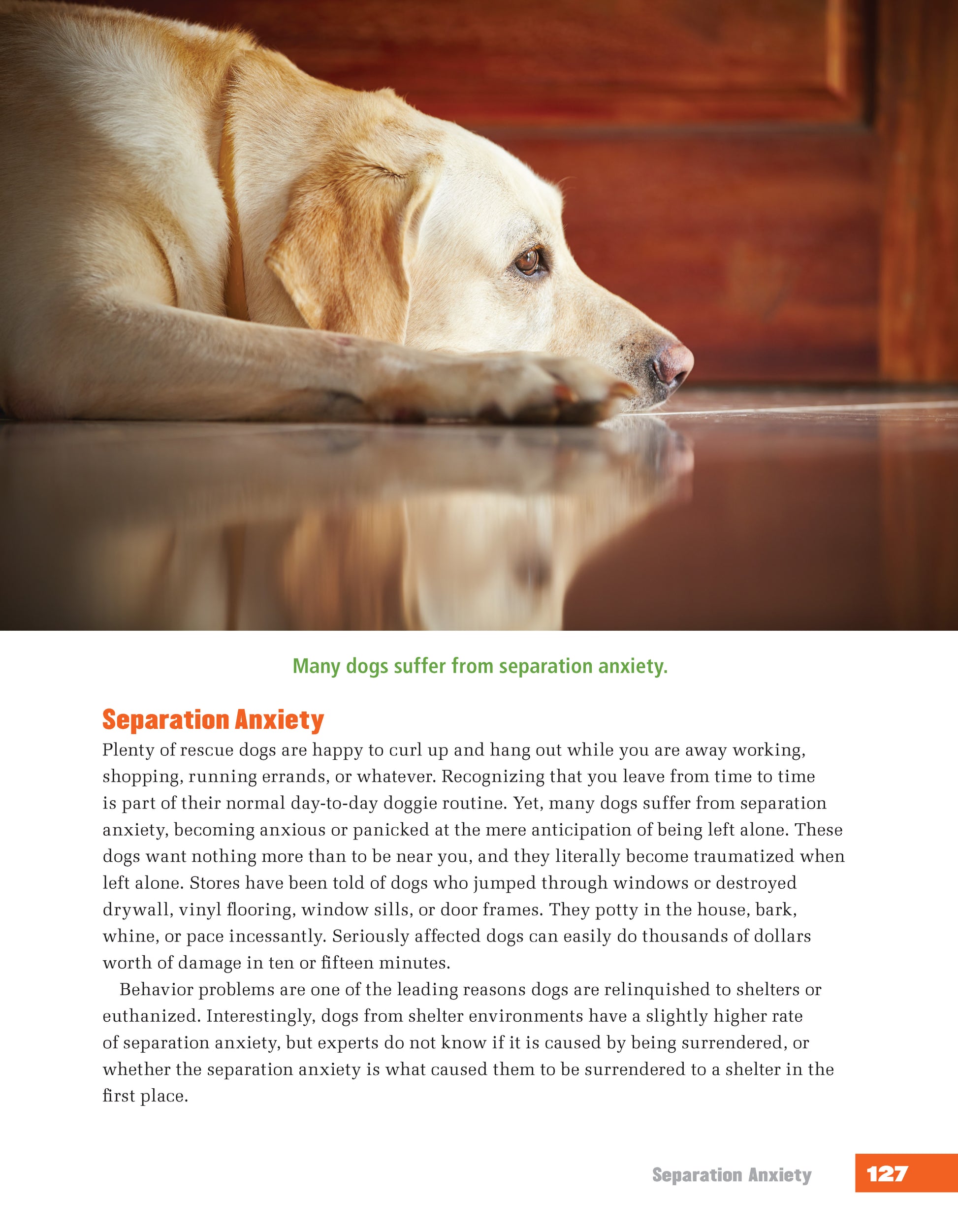 Rescued Dog Problem Solver - Fox Chapel Publishing Co.