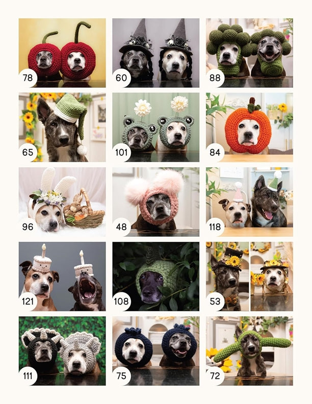 Sookie and Ivy Crochet Cute Dog Hats