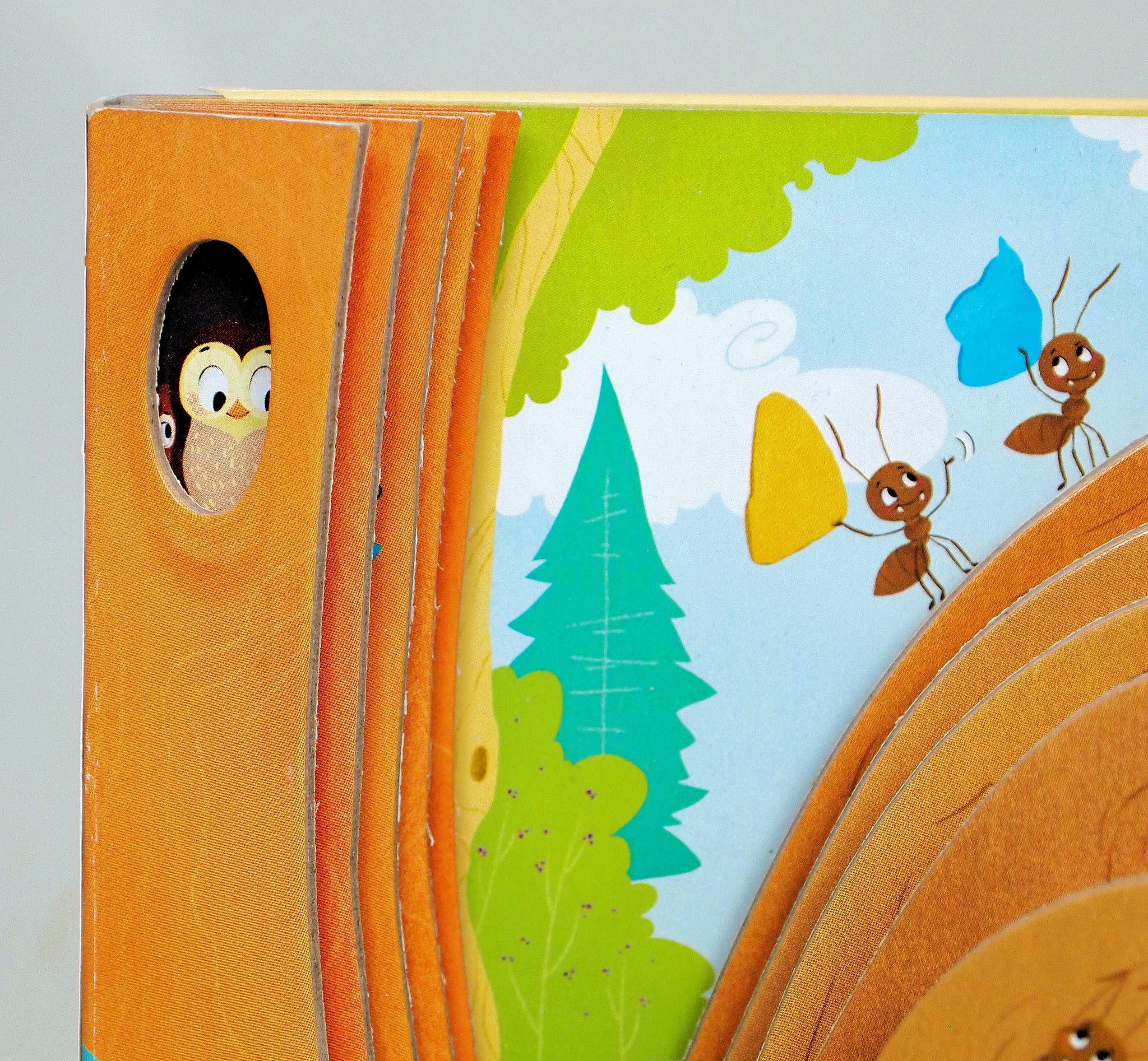 Discovering the Active World of the Anthill – Fox Chapel Publishing Co.