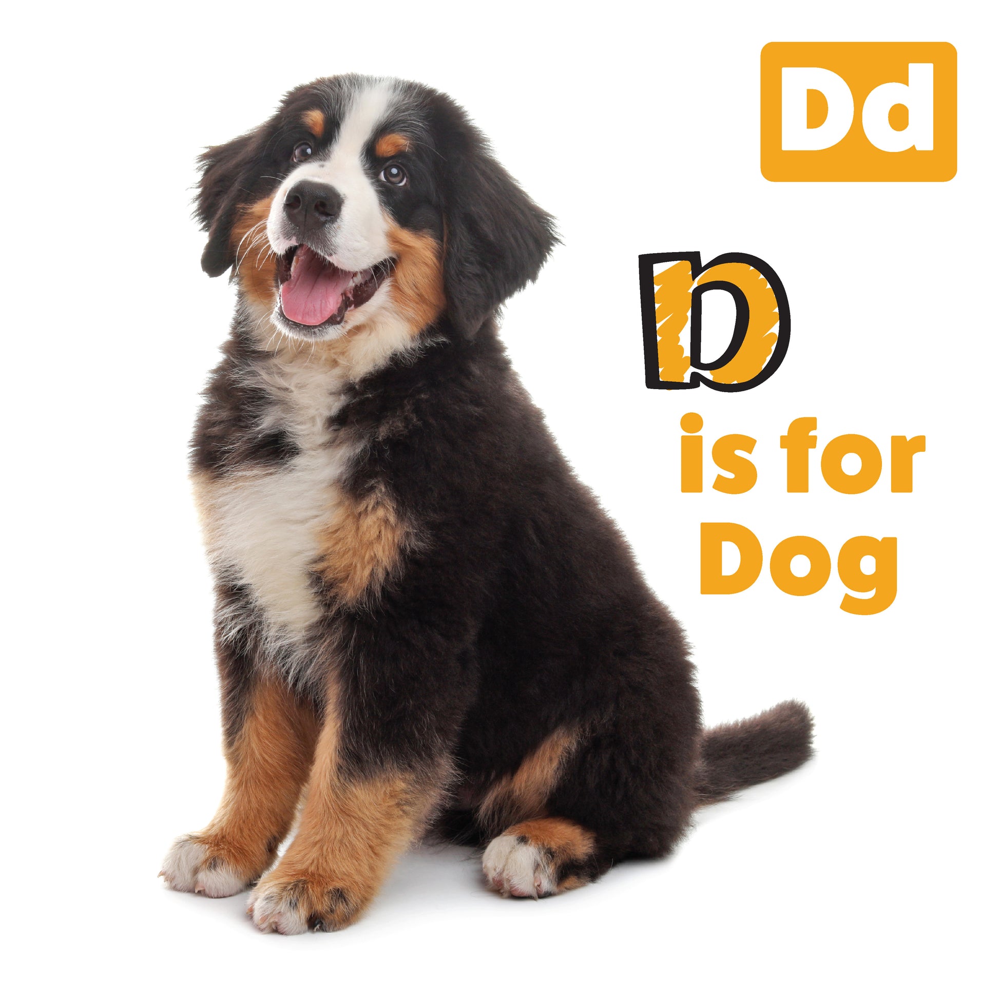 My First ABC Animal Book - Fox Chapel Publishing Co.