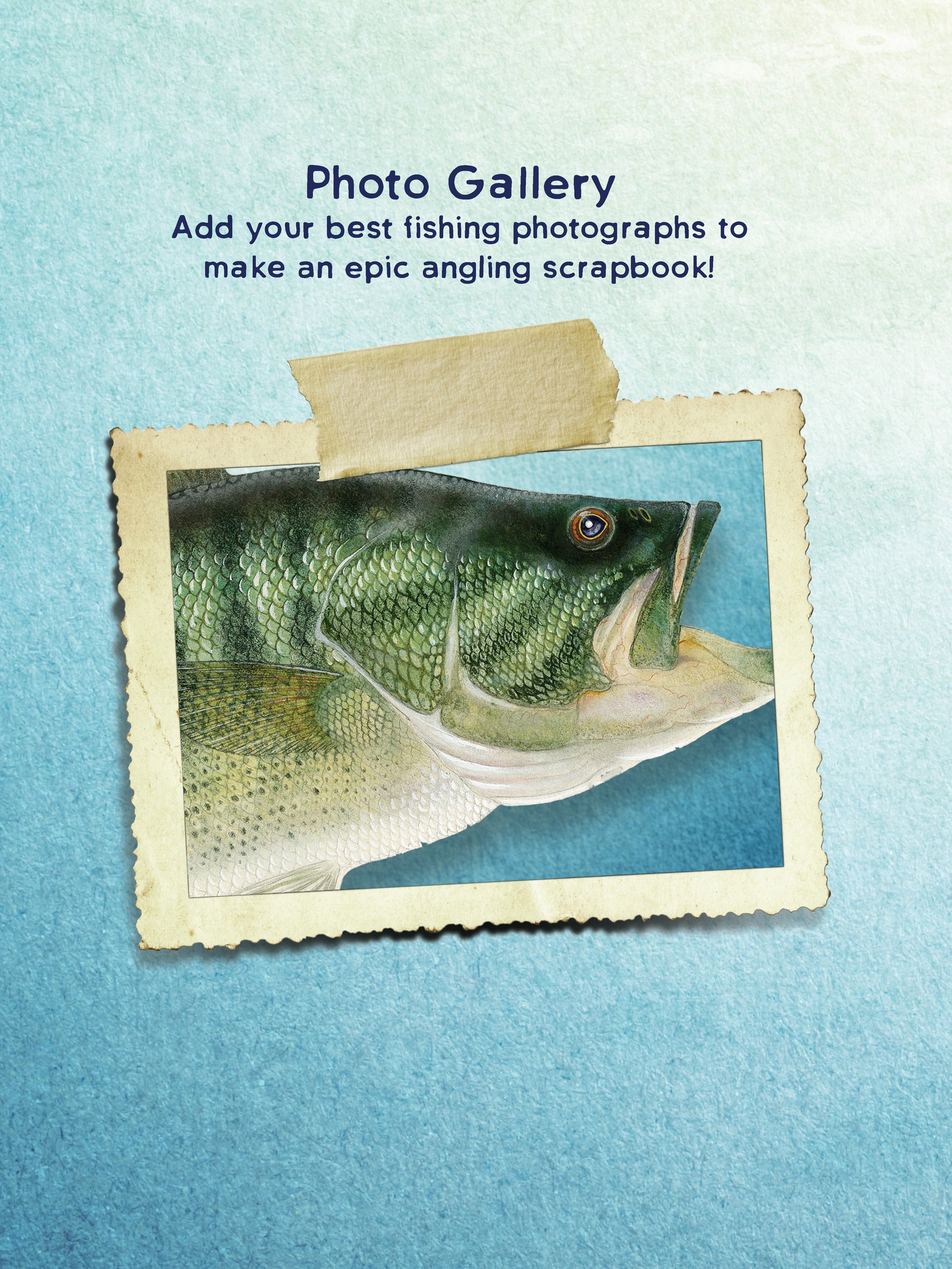 An Angler's Journal - Fox Chapel Publishing Co.