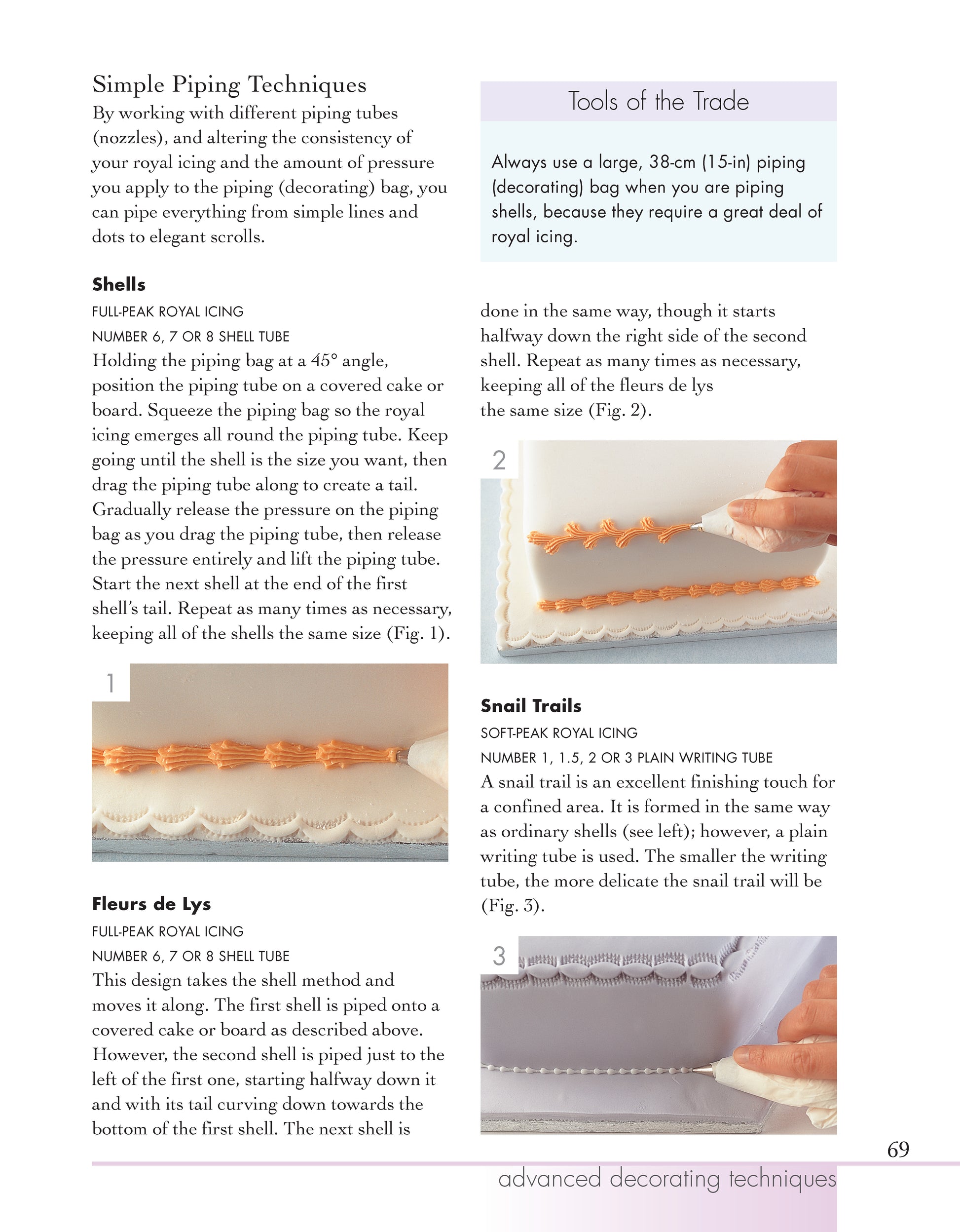 Cake Decorating Basics - Fox Chapel Publishing Co.