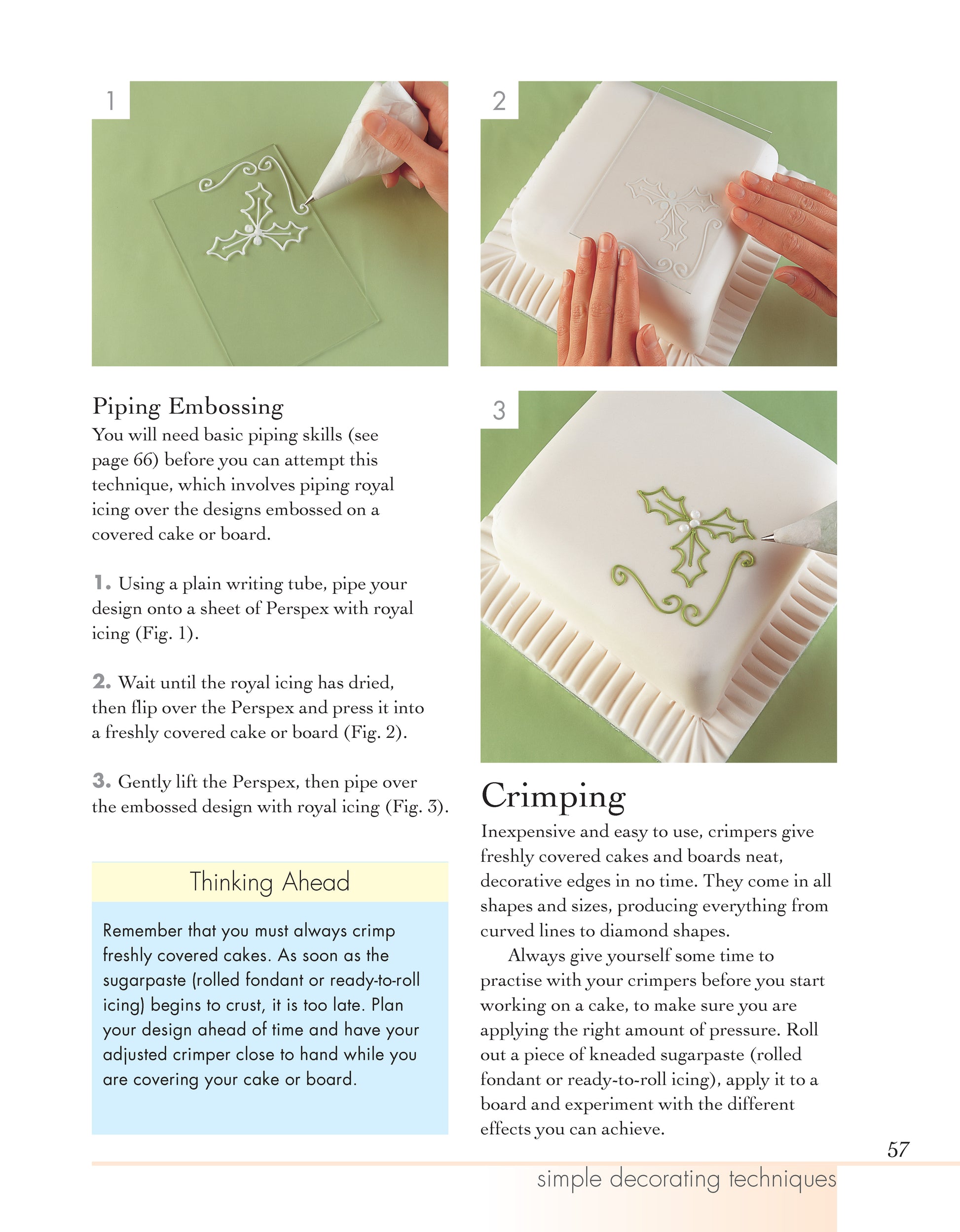 Cake Decorating Basics - Fox Chapel Publishing Co.