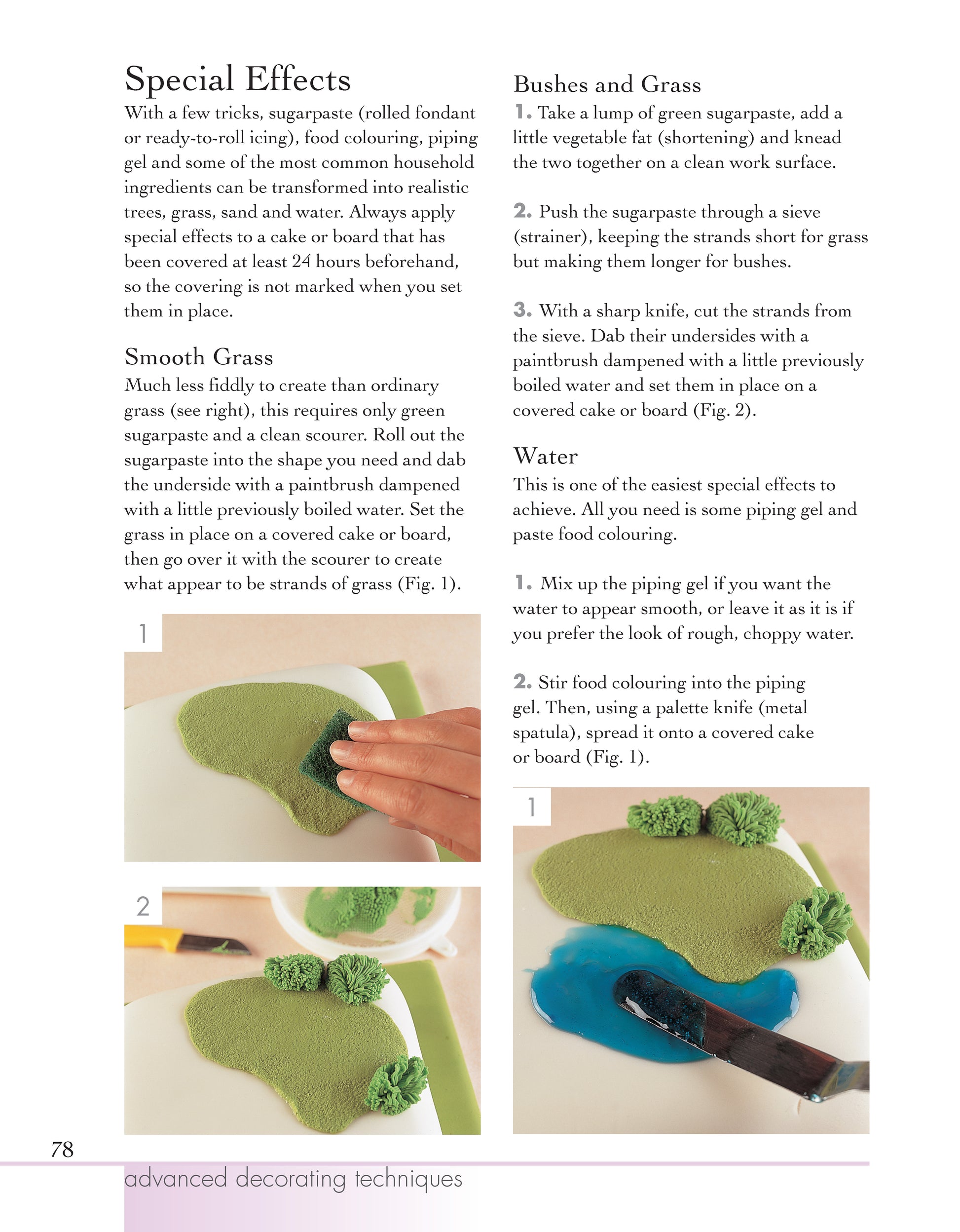 Cake Decorating Basics - Fox Chapel Publishing Co.