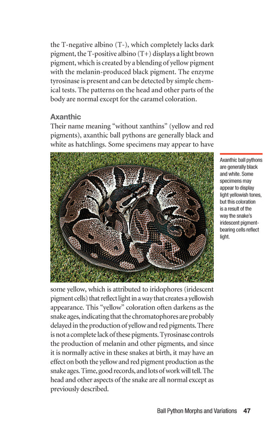 The Ball Python Manual | Fox Chapel Publishing Co.