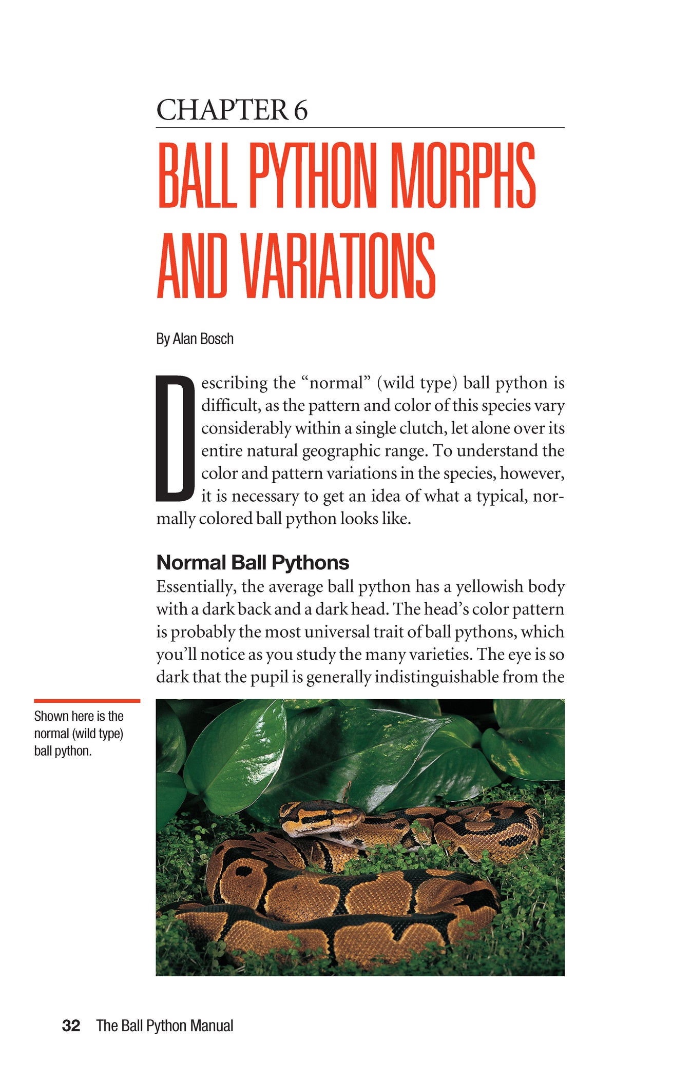 The Ball Python Manual | Fox Chapel Publishing Co.