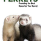 Ferrets