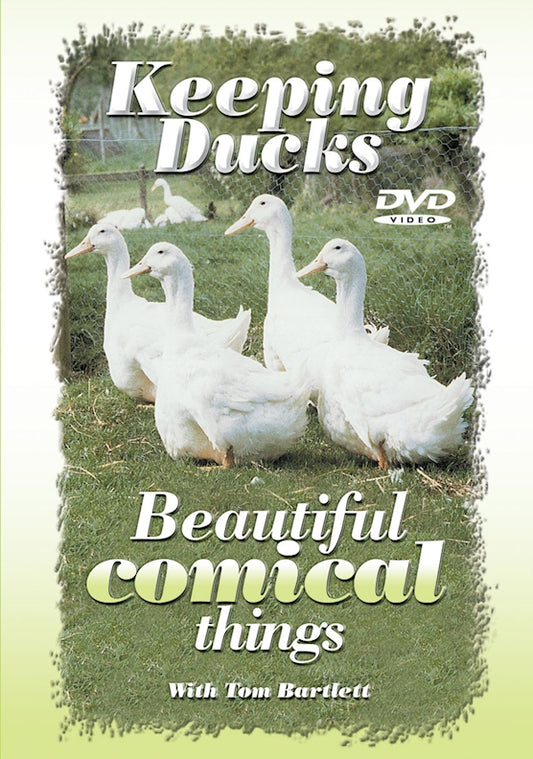 Keeping Ducks: Beautiful, Comical (DVD)