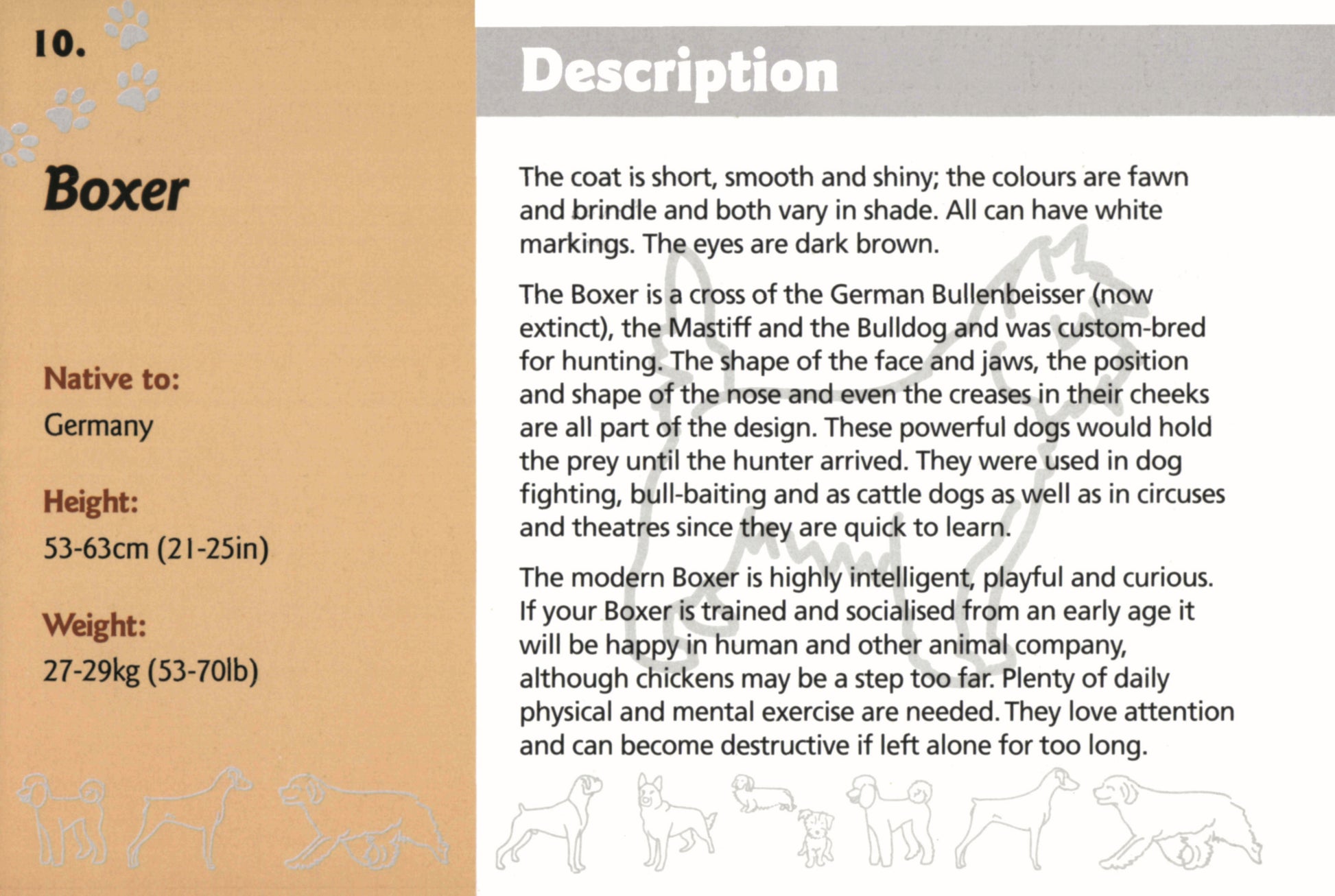 Know Your Dogs - Fox Chapel Publishing Co.