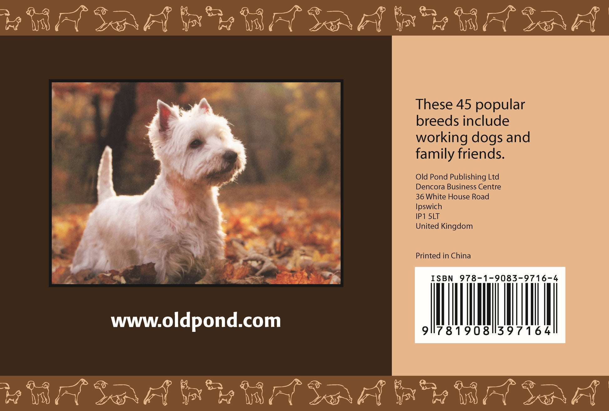 Know Your Dogs - Fox Chapel Publishing Co.