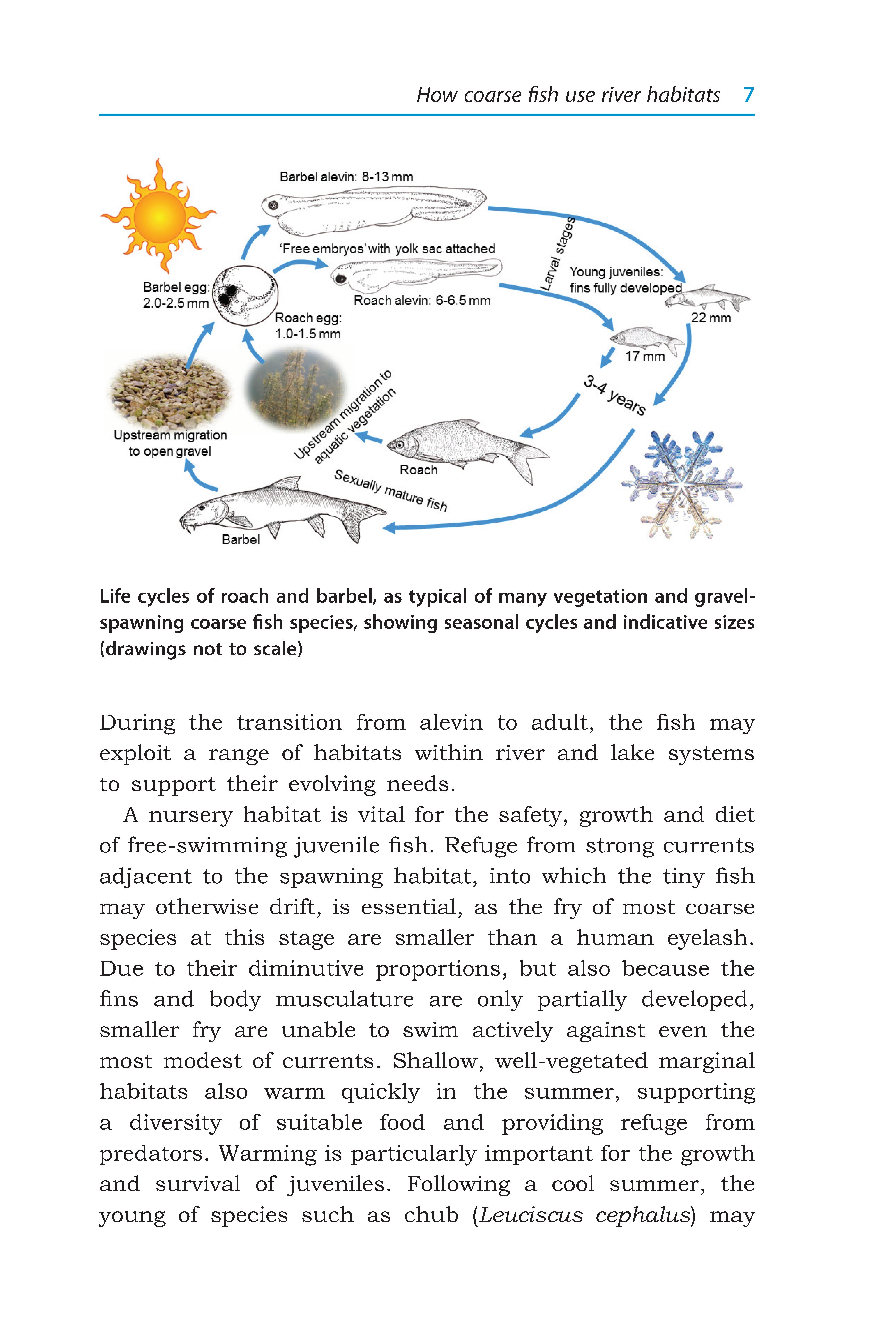 River Habitats for Coarse Fish – Fox Chapel Publishing Co.