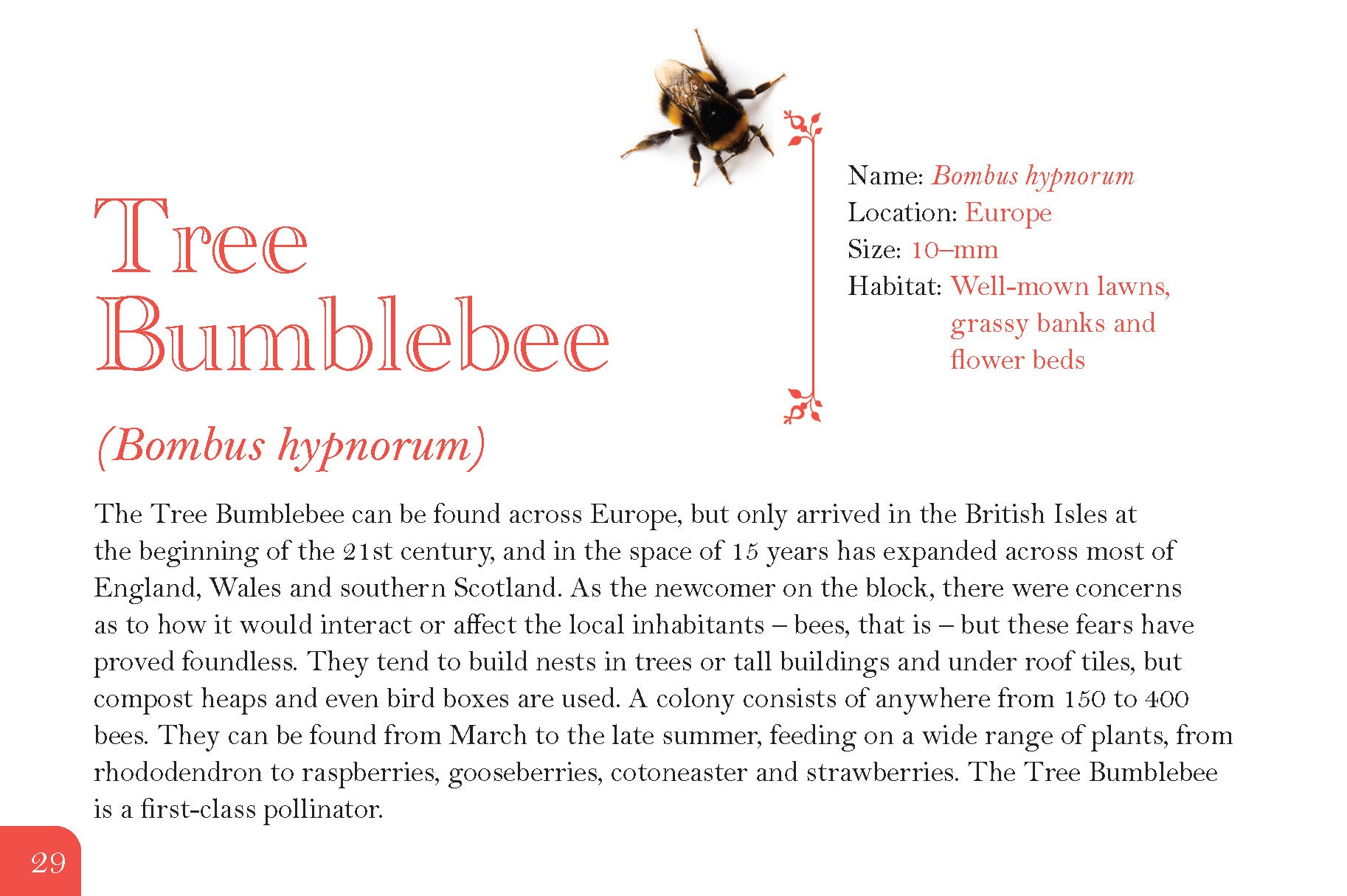 Know Your Bees - Fox Chapel Publishing Co.