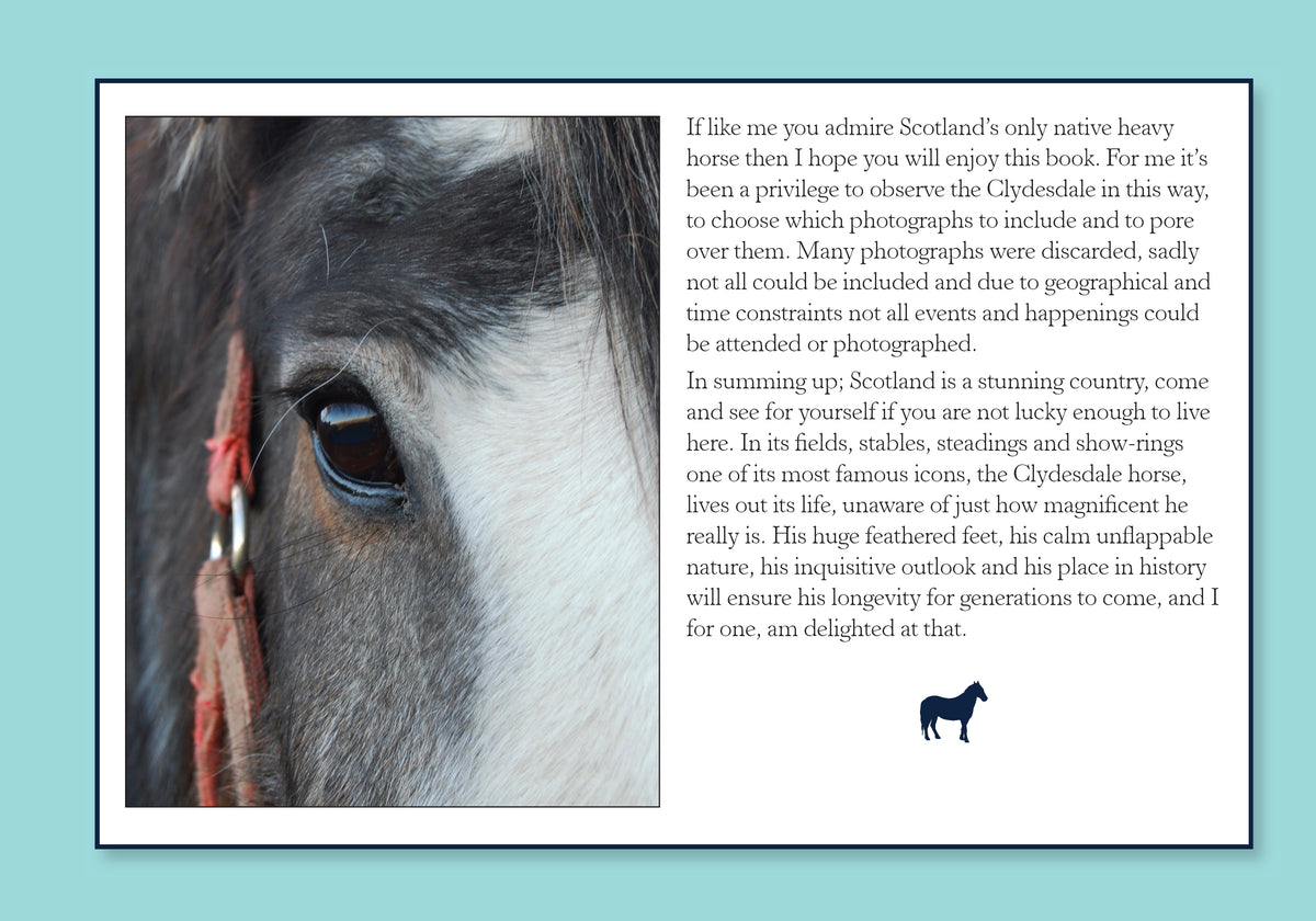 Training Secrets for Rescued Dogs