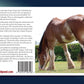 Training Secrets for Rescued Dogs