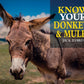 Know Your Donkeys & Mules