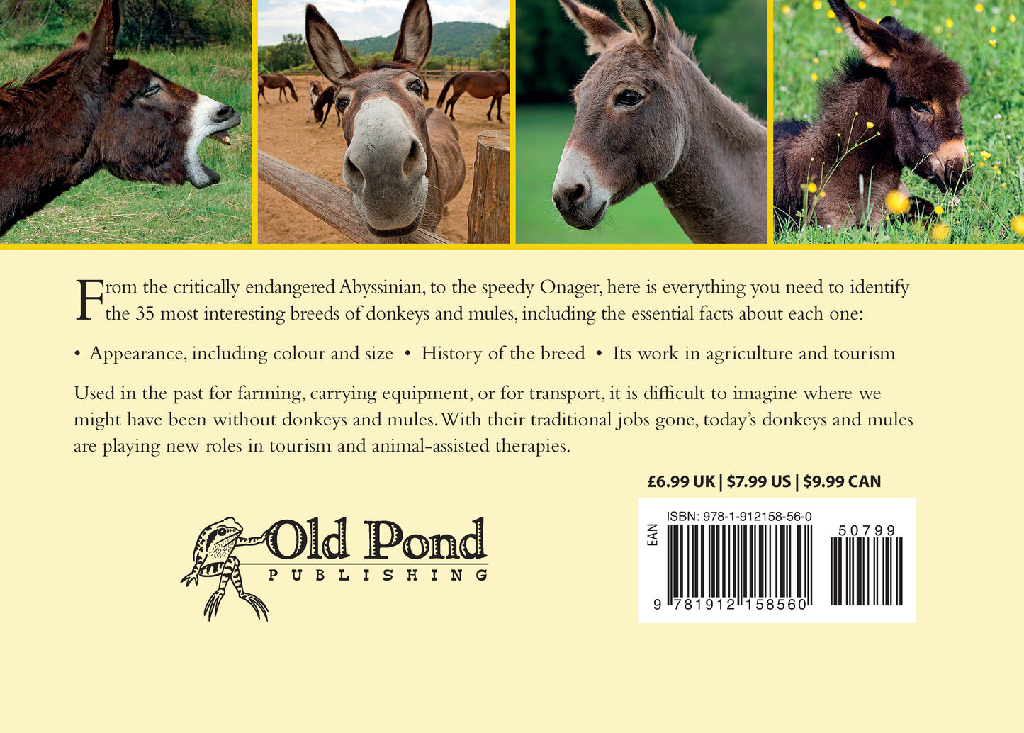 Know Your Donkeys & Mules