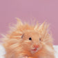 Complete Care Made Easy, Hamsters