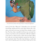 Conures