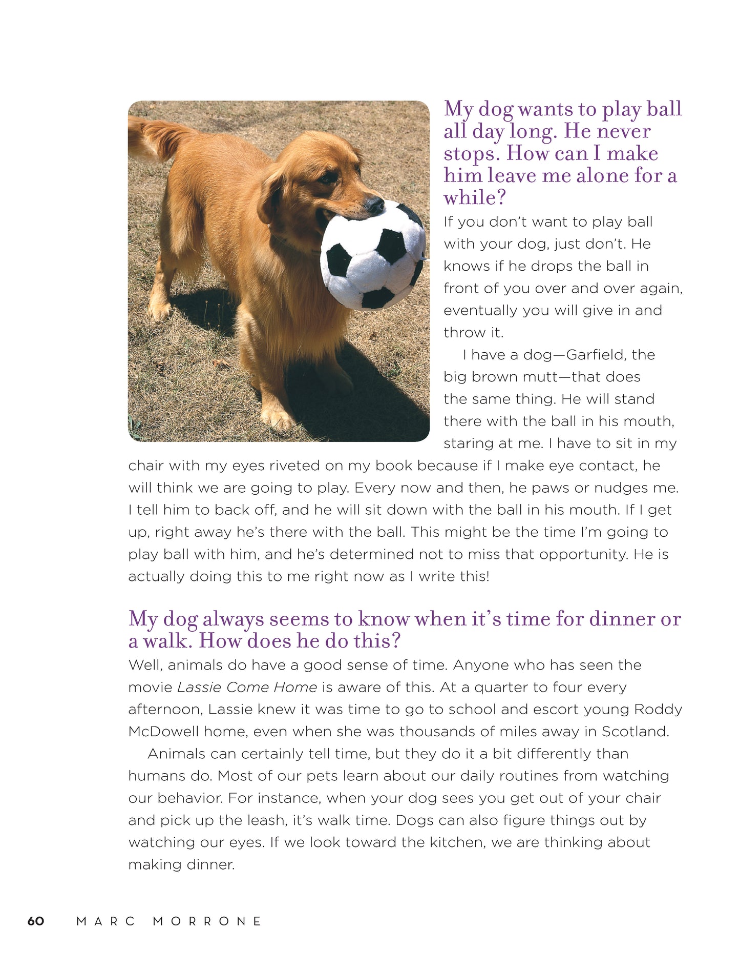 Marc Morrone's Ask the Dog Keeper