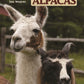 Llamas and Alpacas