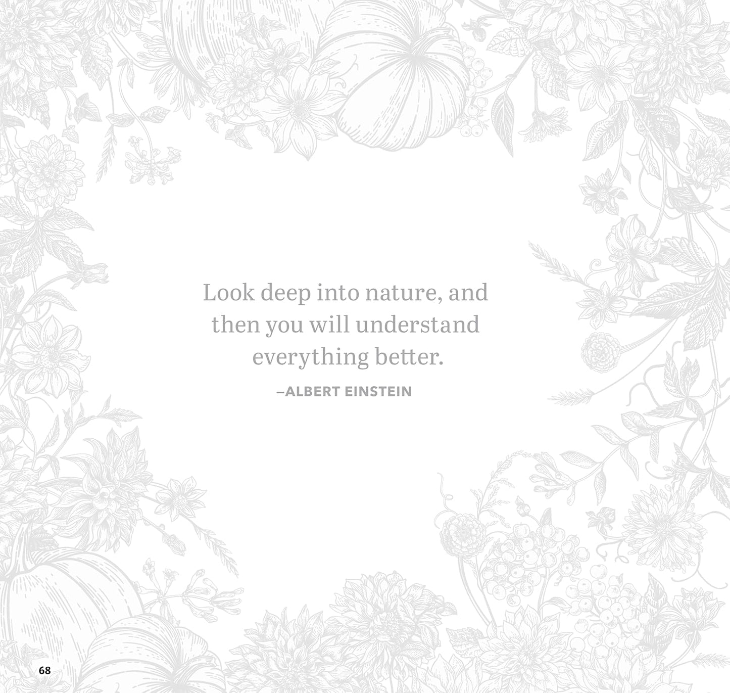 Serenity Garden Coloring Book