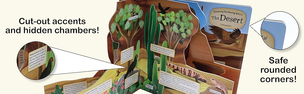 Discovering the Amazing World of the Desert