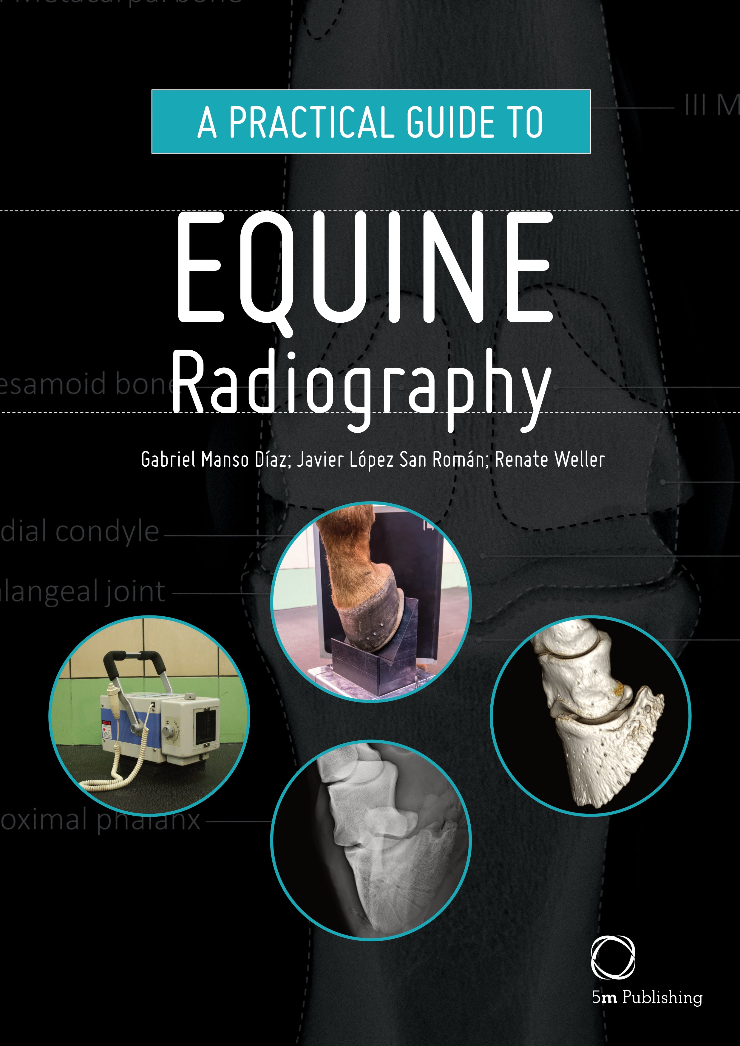 Imv Radiography Guide A Practical Guide to Equine Radiography
