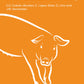 Optimum Vitamin Nutrition for More Sustainable Swine Farming
