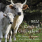 Wild Cattle of Chillingham (HC)