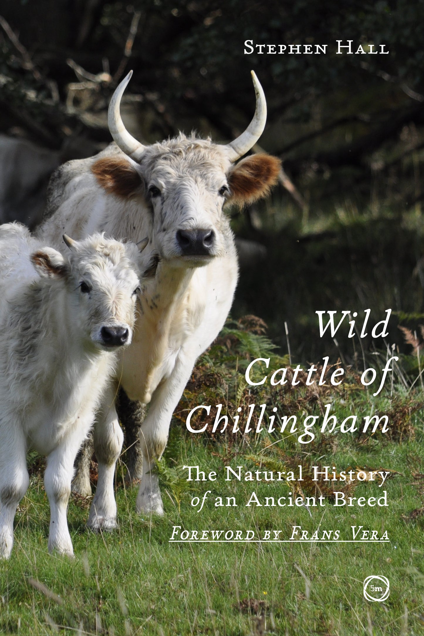 Wild Cattle of Chillingham (HC)