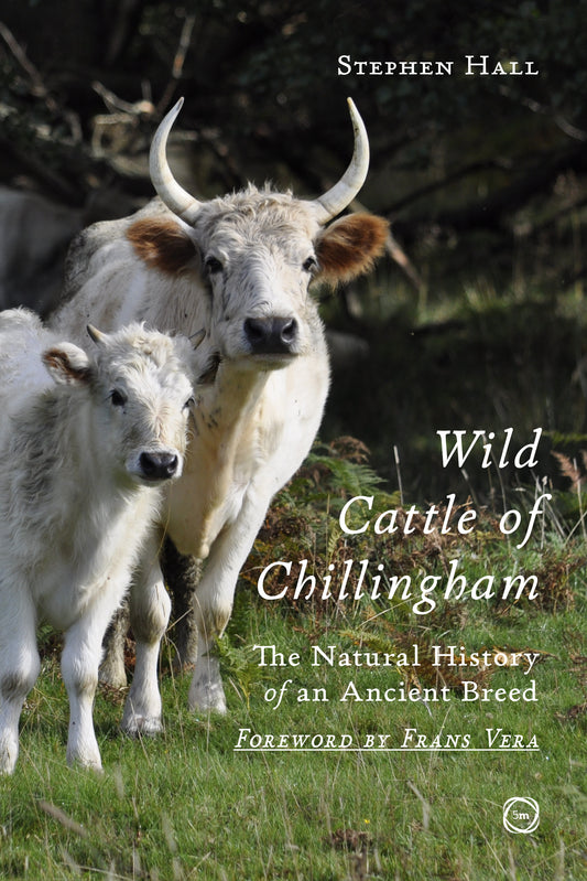 Wild Cattle of Chillingham (SC)