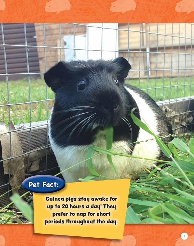 If Animals Could Talk: Guinea Pigs