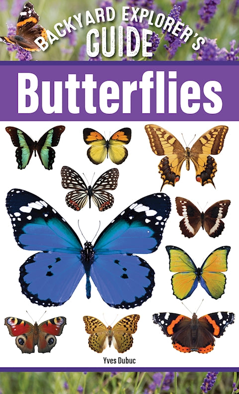 Backyard Explorer's Guide: Butterflies
