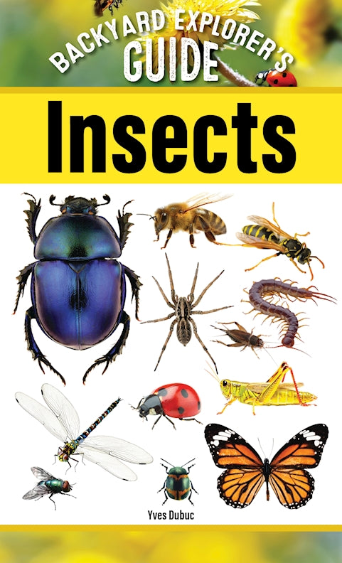 Backyard Explorer's Guide: Insects