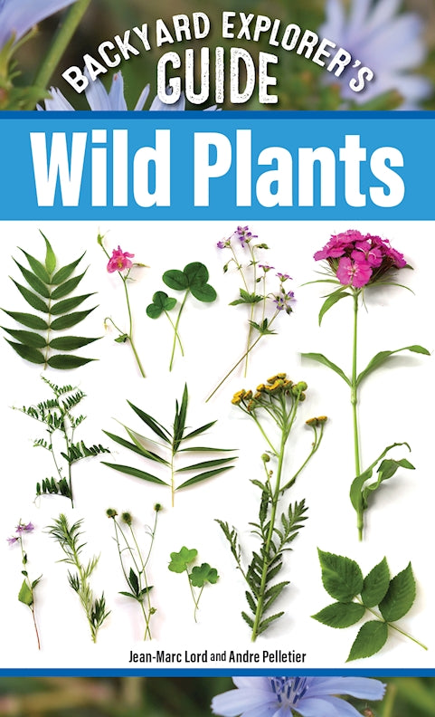 Backyard Explorer's Guide: Wild Plants