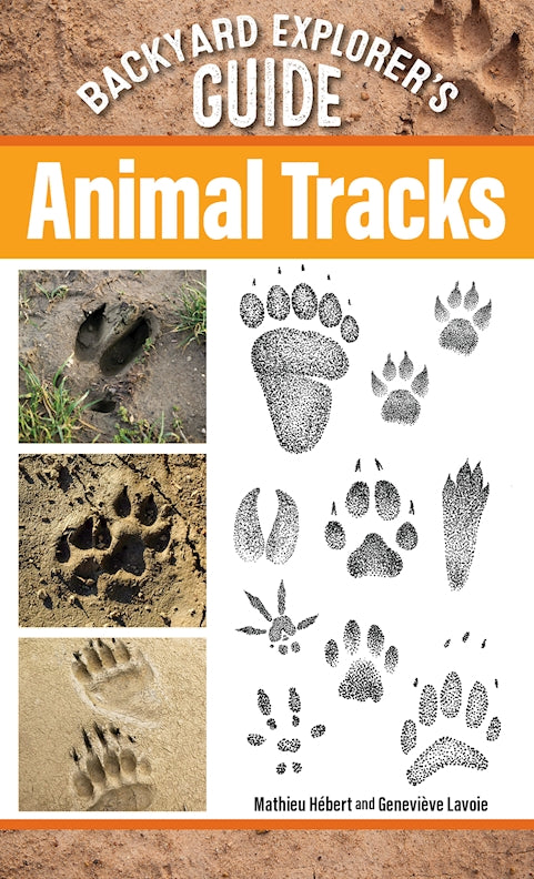 Backyard Explorer's Guide: Animal Tracks