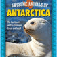 Awesome Animals of Antarctica