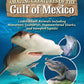 Amazing Creatures of the Gulf of Mexico