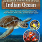 Incredible Creatures of the Indian Ocean