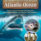 Awesome Creatures of the Atlantic Ocean