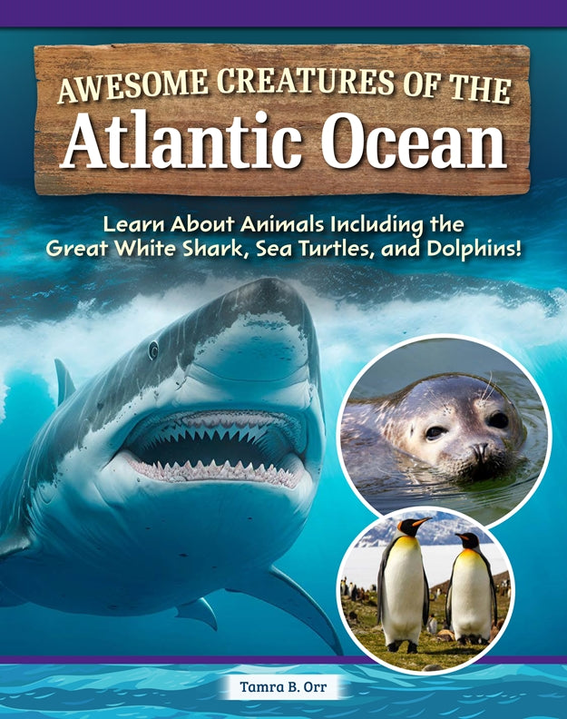 Awesome Creatures of the Atlantic Ocean