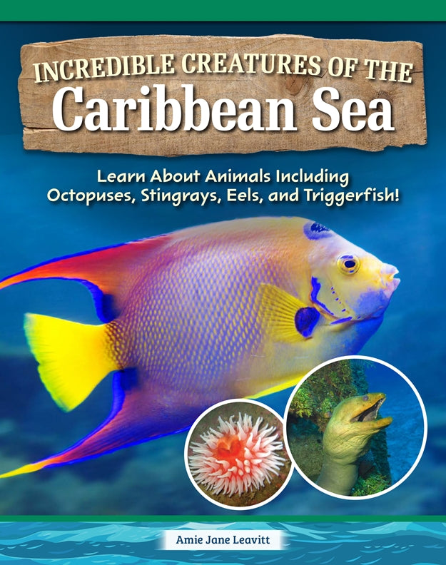 Incredible Creatures of the Caribbean Sea