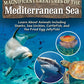 Magnificent Creatures of the Mediterranean Sea