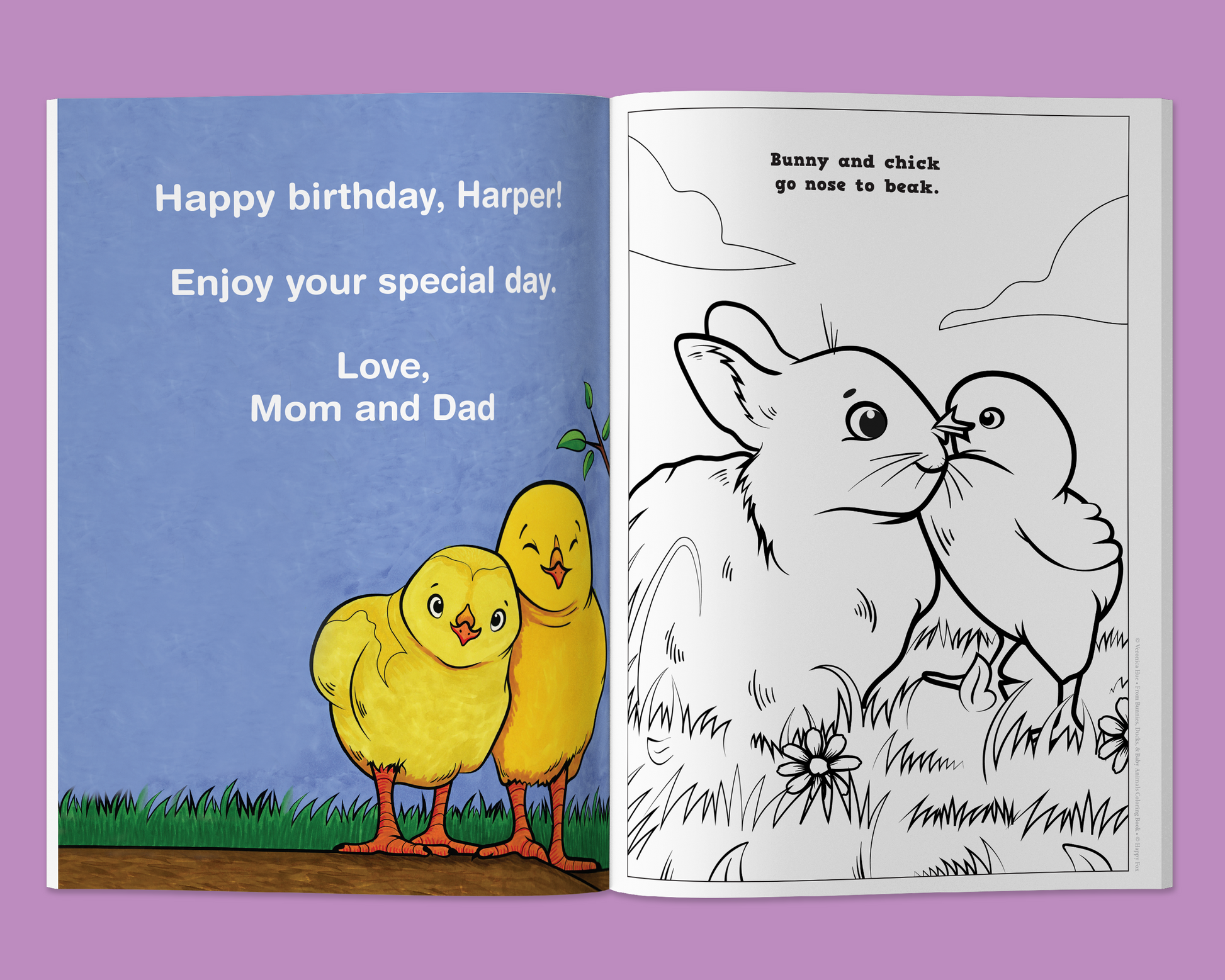 Bunnies, Ducks, and Baby Animals Coloring Book Customized - Fox Chapel Publishing Co.